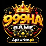 999HA Game