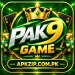 PAK9 Game Logo